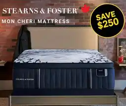 The Sleep Factory MON CHERI TWIN XL MATTRESS offer