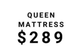 The Sleep Factory DORMITORY VINYL FOAM QUEEN MATTRESS offer
