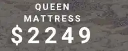The Sleep Factory ALIGN QUEEN MATTRESS offer