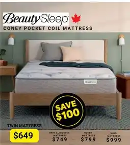 The Sleep Factory CONEY POCKET COIL TWIN MATTRESS offer