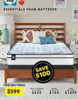 The Sleep Factory ESSENTIALS FOAM TWIN MATTRESS offer