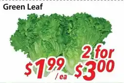 Bestco Food Mart Green Leaf offer