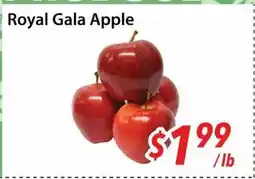 Bestco Food Mart Royal Gala Apple offer