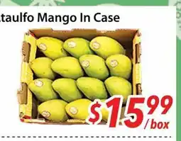 Bestco Food Mart Ataulfo Mango In Case offer