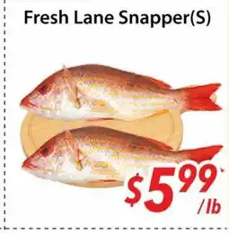 Bestco Food Mart Fresh Lane Snapper (S) offer