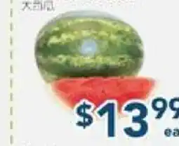 Oceans Fresh Food Market Watermelon offer