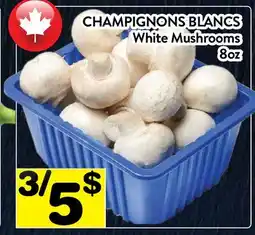 Supermarché PA CHAMPIGNONS BLANCS | White Mushrooms offer