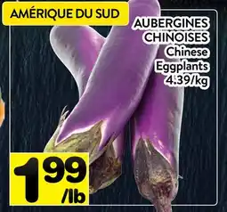 Supermarché PA CHINOISES Chinese | Chinese Eggplants offer