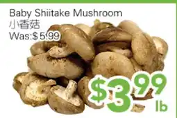 Ample Food Market Baby shiitake mushroom offer