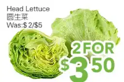 Ample Food Market Head lettuce offer