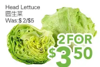 Ample Food Market Head lettuce offer