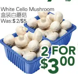 Ample Food Market White Cello Mushroom offer