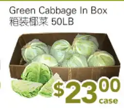 Ample Food Market Green Cabbage In Box offer