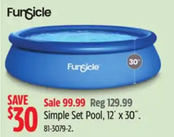 Canadian Tire Funsicle Simple Set Pool offer