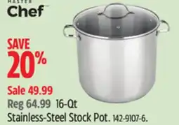 Canadian Tire Master chef 16-Qt Stainless-Steel Stock Pot offer