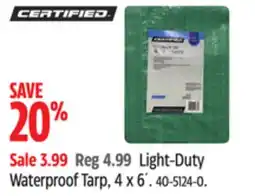 Canadian Tire CERTIFIED Light-Duty Waterproof Tarp, 4 x 6´ offer