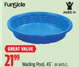 Canadian Tire Wading Pool offer