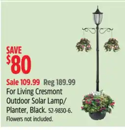 Canadian Tire For Living Cresmont Outdoor Solar Lamp/Planter offer