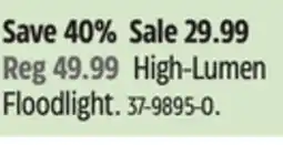 Canadian Tire Motomaster High-Lumen Floodlight offer