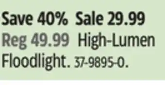Canadian Tire Motomaster High-Lumen Floodlight offer