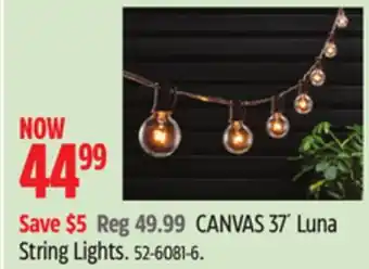 Canadian Tire CANVAS 37´ Luna String Lights offer