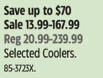 Canadian Tire Outbound Selected Coolers offer