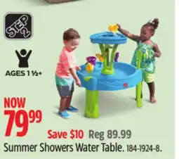 Canadian Tire Step 2 Summer Showers Water Table offer