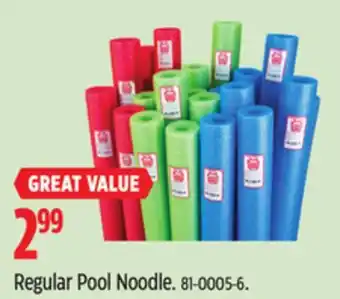 Canadian Tire Regular Pool Noodle offer