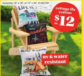 Giant Tiger Cottage life cushion offer