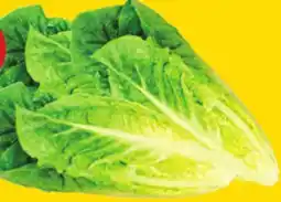 Giant Tiger 3 pack romaine hearts offer