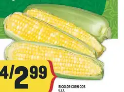 Marché Adonis BICOLOR CORN COB offer