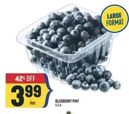 Marché Adonis BLUEBERRY PINT offer