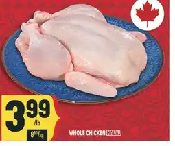 Marché Adonis WHOLE CHICKEN HALAL HALAL offer