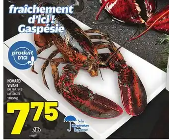 Metro HOMARD VIVANT | LIVE LOBSTER offer