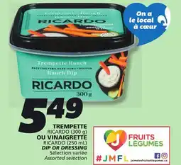 IGA RICARDO DIP offer