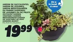 IGA SUCCULENT GARDEN, VEGETABLE GARDEN, MEDITERANEAN GARDEN OR VEGETABLE OR FRUIT HANGING BASKET offer