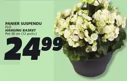 IGA FLO HANGING BASKET offer