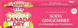 IGA CANADA DRY offer