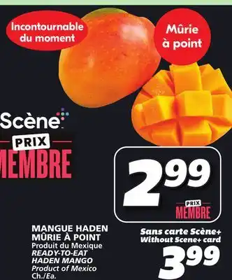 IGA READY-TO-EAT HADEN MANGO offer