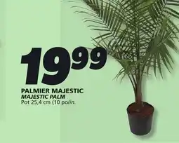 IGA MAJESTIC PALM offer