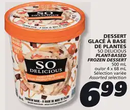IGA SO DELICIOUS PLANT-BASED FROZEN DESSERT offer