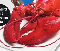 IGA COOKED FRESH LOBSTER offer