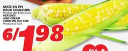 IGA PEACHES AND CREAM CORN ON THE COB offer