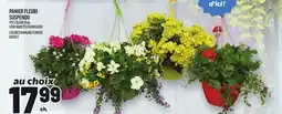 Metro PANIER FLEURI SUSPENDU | COLORED HANGING FLOWER BASKET offer