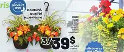 Metro PANIER FLEURI | BLOOMING BASKET offer