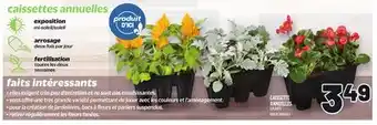 Metro CAISSETTE ANNUELLES | BOX OF ANNUALS offer