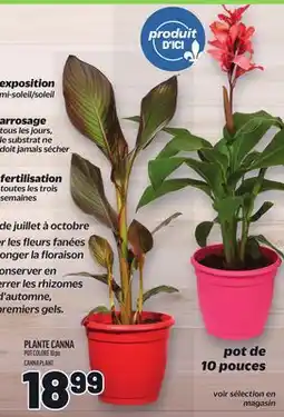 Metro PLANTE CANNA | CANNA PLANT offer