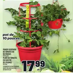 Metro PANIER SUSPENDU DE TOMATES OU DE FRAISES | STRAWBERRY OR TOMATO HANGING BASKET offer