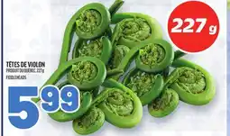 Metro TÊTES DE VIOLON | FIDDLEHEADS offer