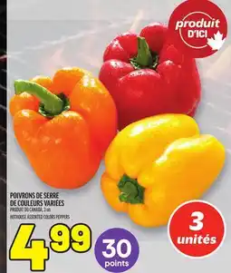 Metro POIVRONS DE SERRE DE COULEURS VARIÉES | HOTHOUSE ASSORTED COLORS PEPPERS offer